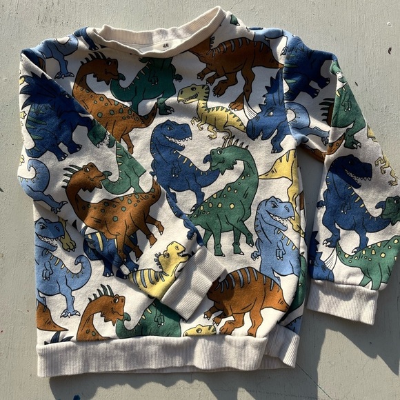 Kid's H&M Sweatshirt Multicolor Dinosaur Print 6X/7 Boy's Prehistoric Colorblock - Picture 4 of 12